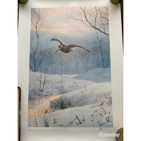 Becasse et ttras 2 ditions limites de JC Harrison