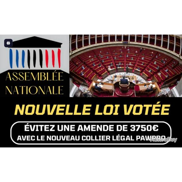 Collier Anti Aboiement pour Chiens | Conforme Nouvelle Loi 2024 Bien-�tre Animal | 100% Automatique