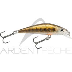 Poisson nageur GUNKI Gamera 50 HW Vairon