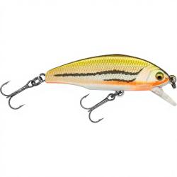 Poisson nageur SMITH D Incite 53 12