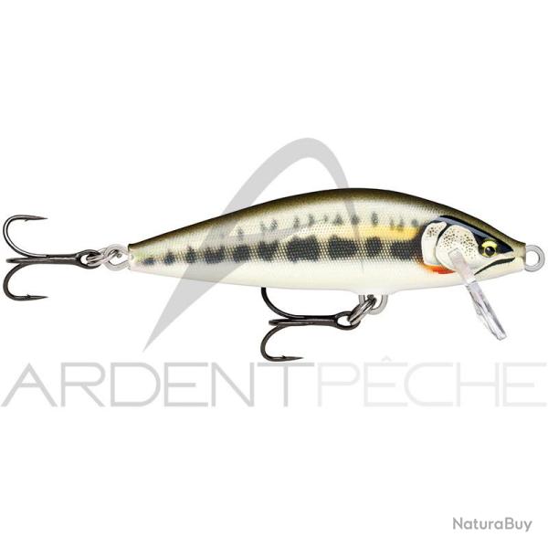 Poisson nageur RAPALA Countdown elite 55 GDMN