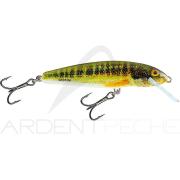 Poisson Nageur Strike Pro Cranky X 50 (945 - 7,9g - 5 cm) STRIKE PRO