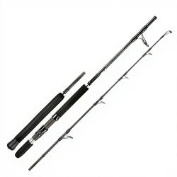 Canne spinning SMITH Offshore lim pack 70 55 H