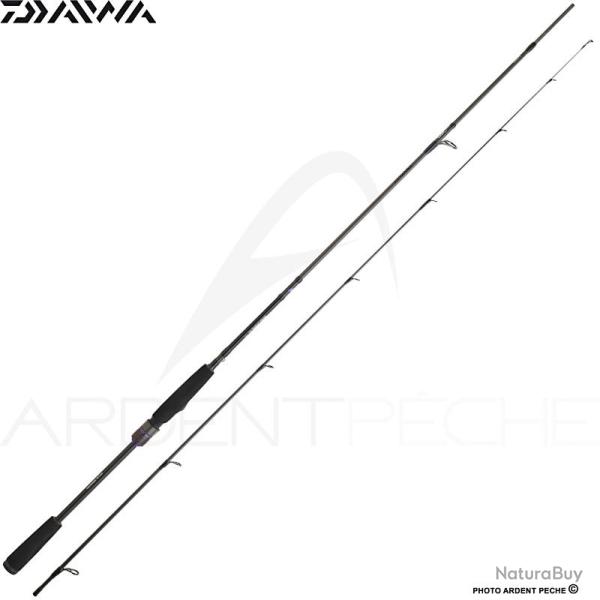 Canne spinning DAIWA Prorex AGS 24 832 HMH FSCF - Moving fin II