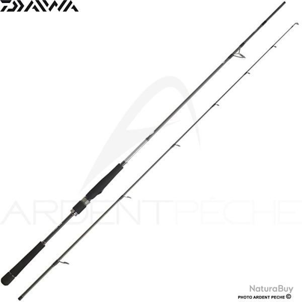 Canne spinning DAIWA Saltist seabass 24 702 H FSBF