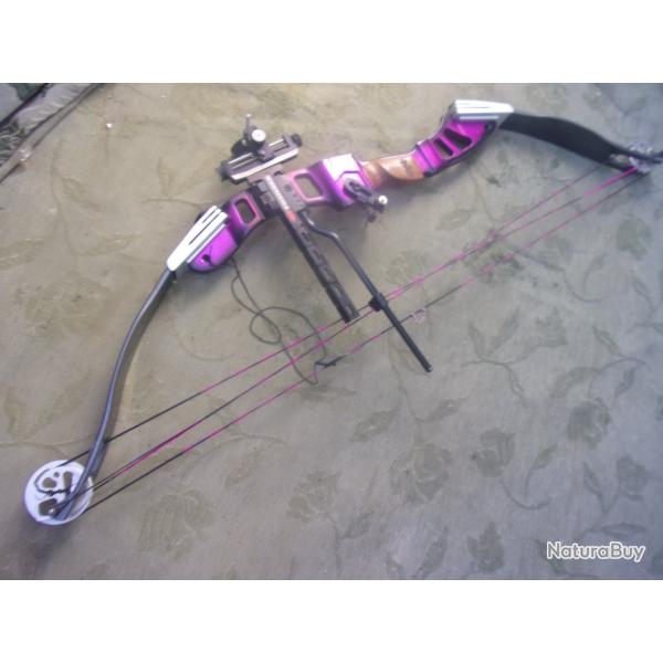 arc  poulie PSE Citation II