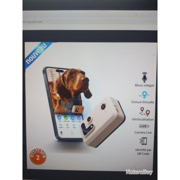 Collier area 3 rog track cam rog hunting