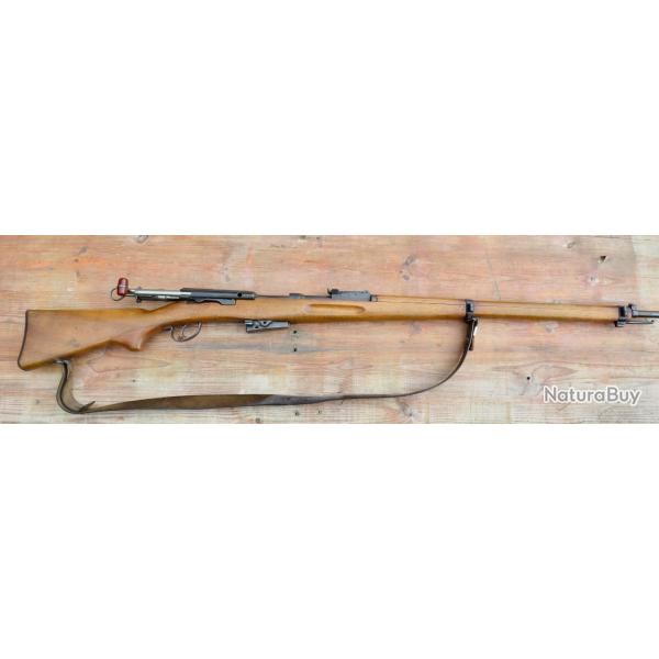 Schmidt Rubin 1896 cal 22lr