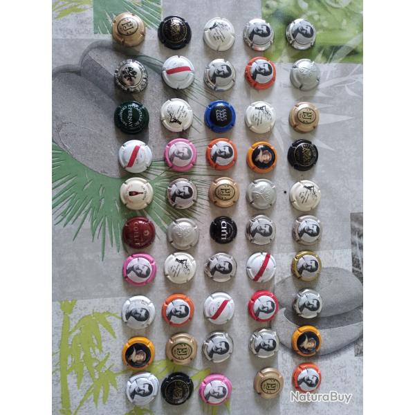 50 capsules de champagne