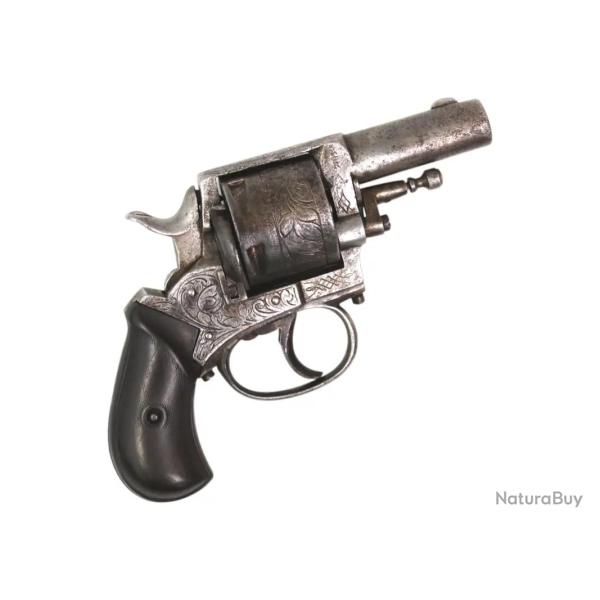 ENORME BULLDOG 450 - 5 COUPS