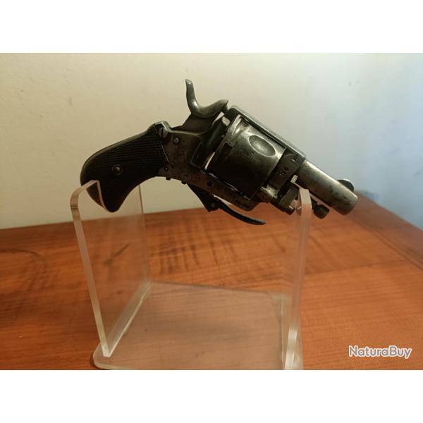 JOLI puppy calibre 320 � voir