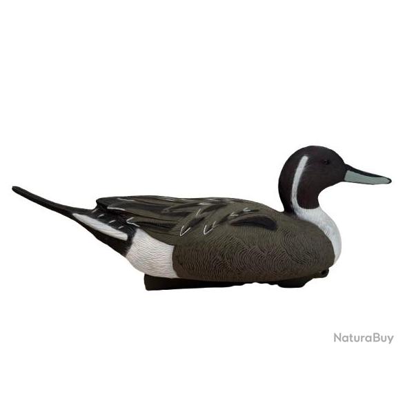 Pilet HD Duck Hunter Le lot de 6