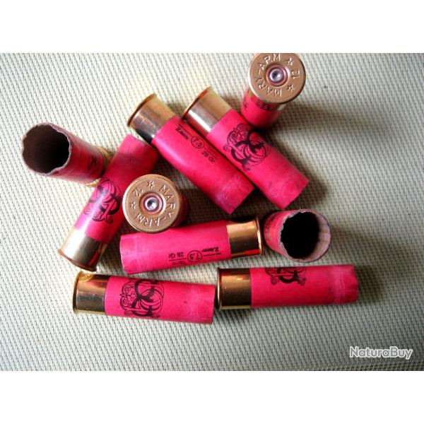 Douilles  carton  cal  12  tires  une  fois  bon tat  culots  de  16 mm