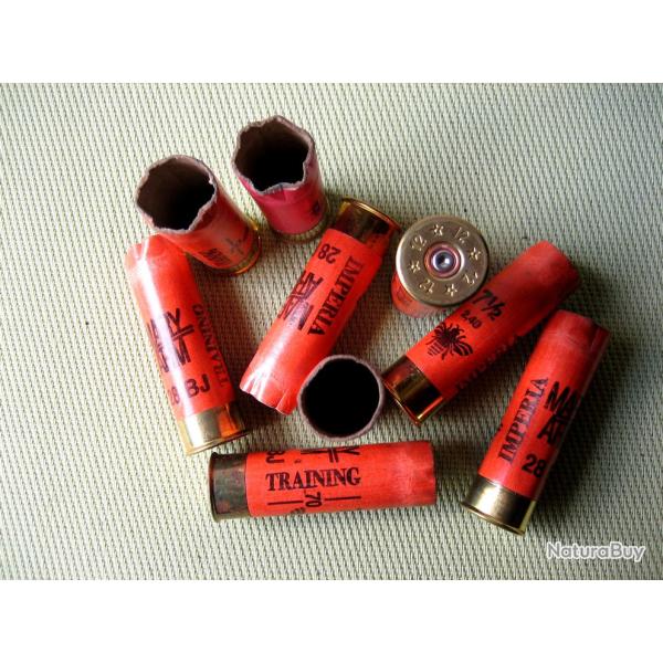 Douilles  carton  cal  12  tires  une  fois  bon tat  culots  de  12 mm