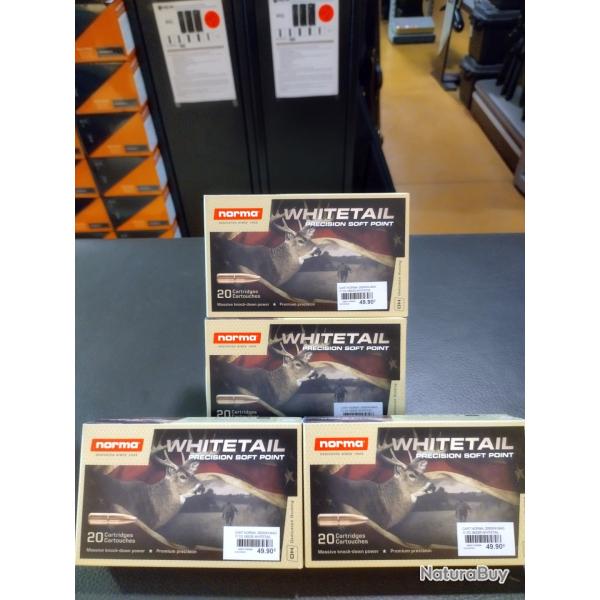 Lot de 4 botes de balles norma whitetail prcision soft point calibre 300 win mag 11.7g/180g 80 mun