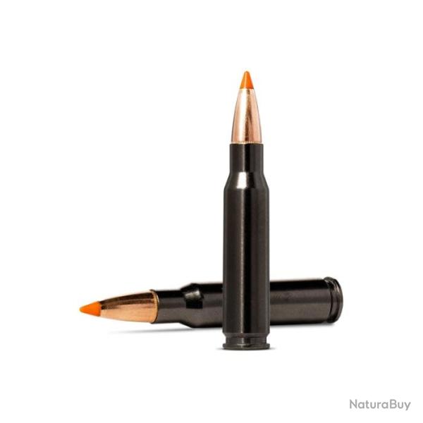 Balles Norma Tipstrike Silencer - Cal. 308 Win - 170 gr / 11 g / Par 1