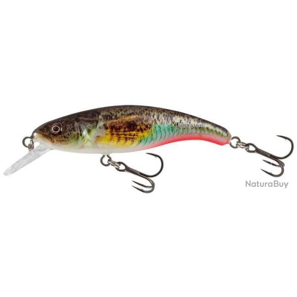 Poisson Nageur Salmo Slick Stick Floating 6cm Super Natural Gobie