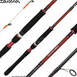 Canne DAIWA Powermesh tenya 242 H AF
