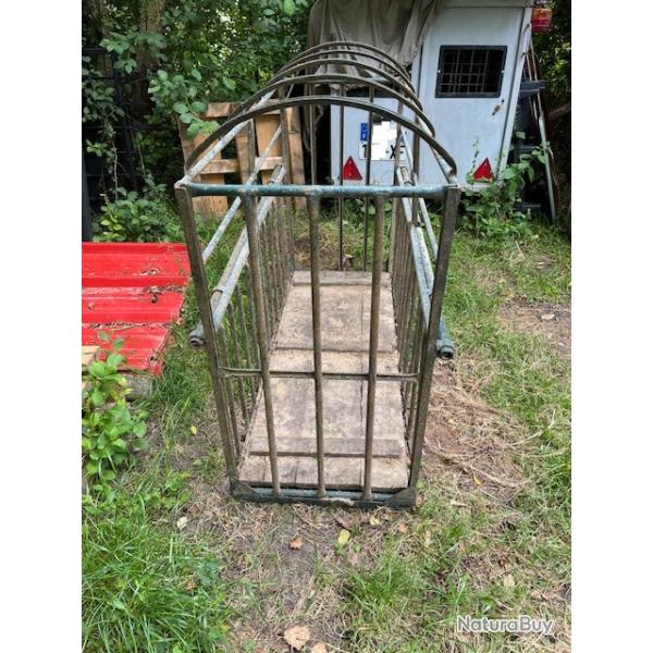 Cage transport animaux