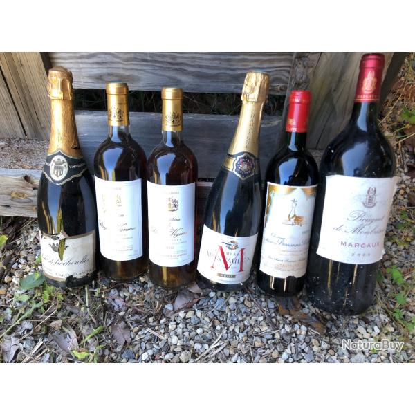 LOT VINS ET CHAMPAHNE 1 MAGNUM BORDEAU FIN DE CAVE