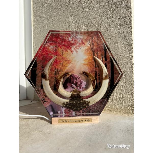 Troph�e de sanglier avec photo