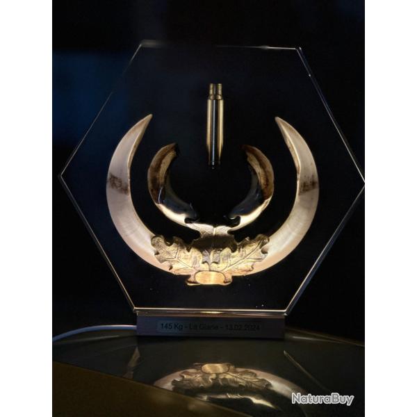 Troph�e de sanglier en r�sine