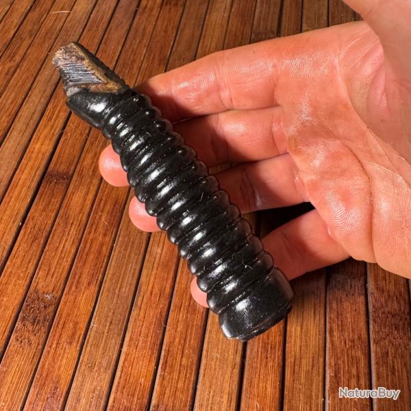 FUS�E / POIGN�E    SABRE / �P�E CORNE /3/