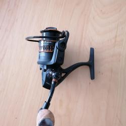 Sakura Tsubaki 1007D