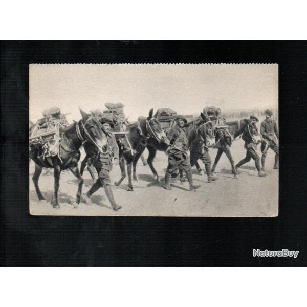 section de mitrailleuses alpine cpa chasseurs alpins