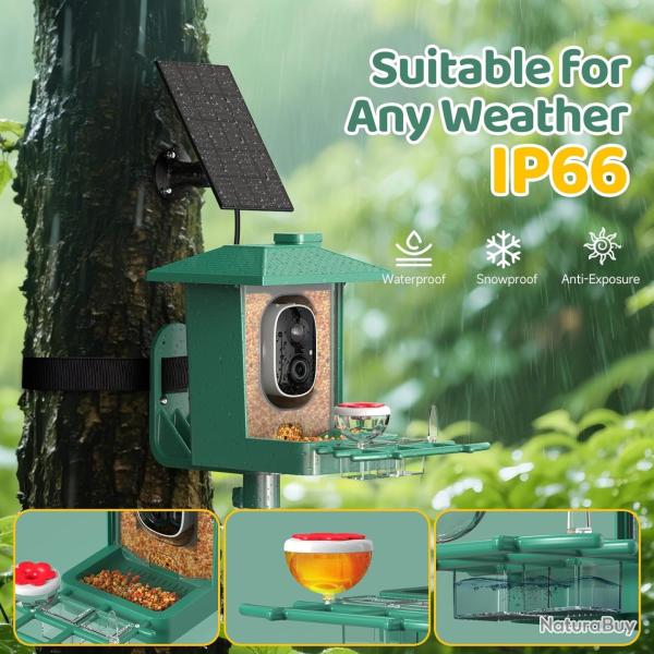Mangeoire Oiseaux Exterieur Camera Solaire: 2K HD Camera WiFi Exterieure sans Fil - Nichoir Mesange