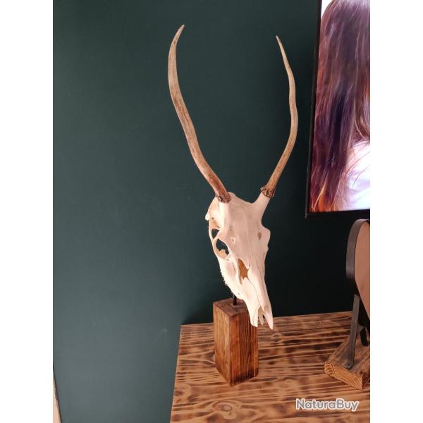 Support pied d'estale diffrentes taille