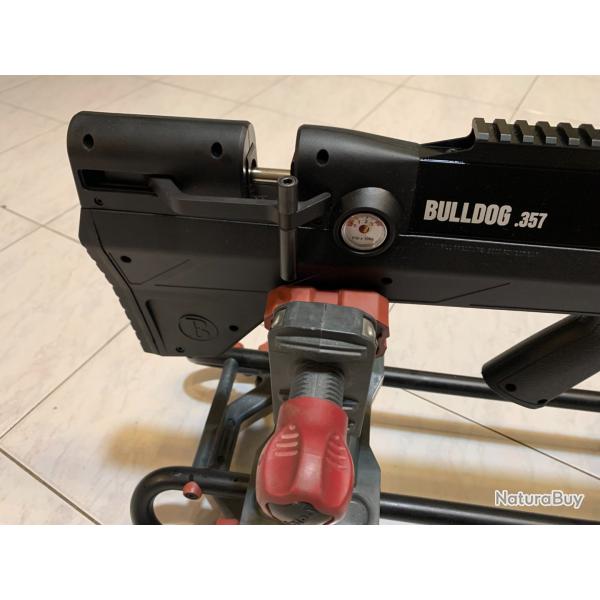 REVISION, ENTRETIEN BULLDOG 357/457 PCP