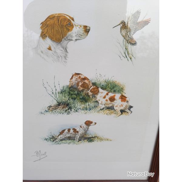 ENCADREMENT " BORIS RIABOUCHINSKY "  DIT RIAB  :  L EPAGNEUL  LE LIEVRE  ET LA BECASSE  .