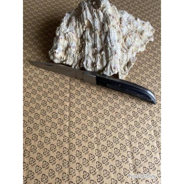 COUTEAU PRADEL EVOLUTION    10 (2025)  n