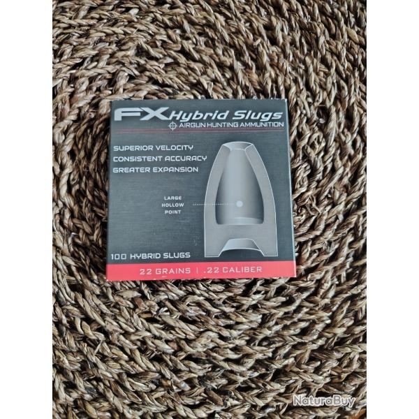 Slugs FX hybride 5.5 mm HP 22 grains