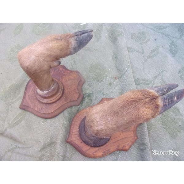 porte-fusil / r�telier 1 arme en patte