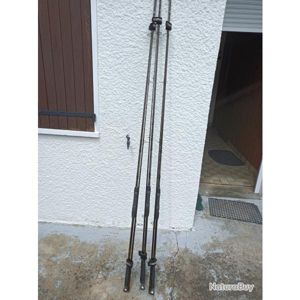 3 cannes � carpe