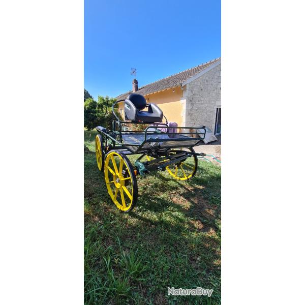 voiture hippomobile �nes ou chevaux