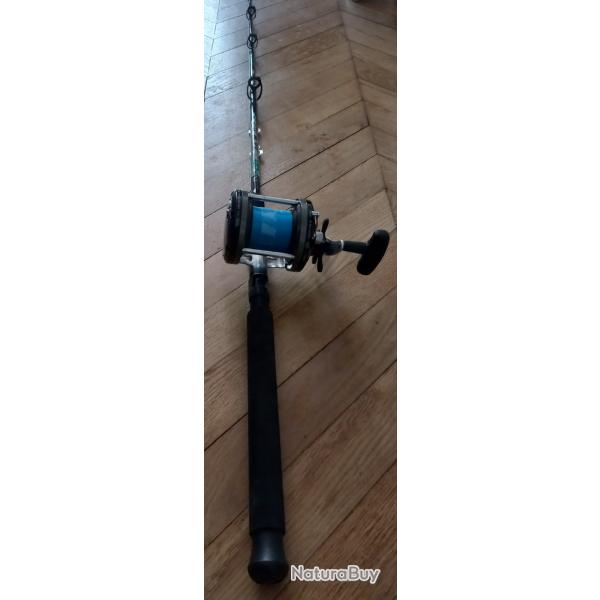 canne  peche silures neuf