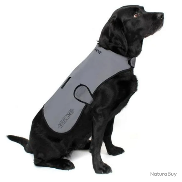 DOG COAT veste r�flechissante et imperm�able pour Chien