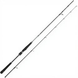 Canne spinning DAIWA Saltist seabass 24 1002 HXH FSBF