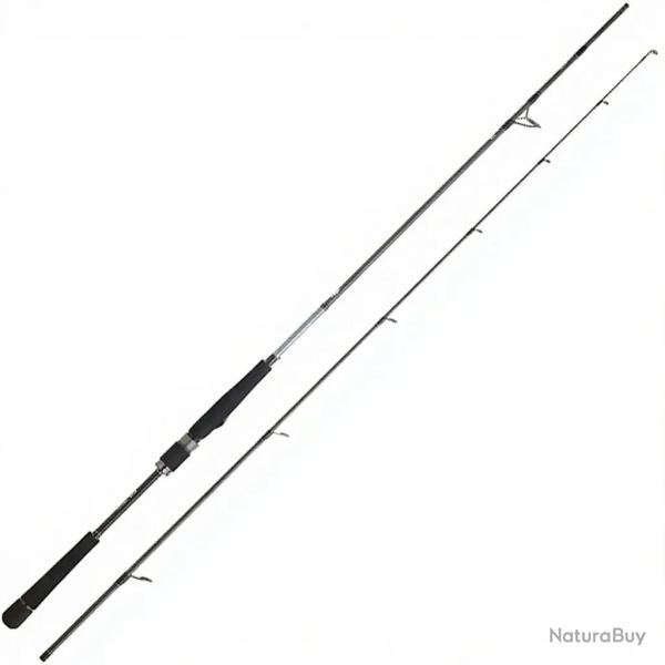 Canne spinning DAIWA Saltist seabass 24 1002 HXH FSBF