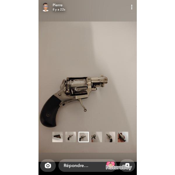 Mini bulldog 8 92 phoenix