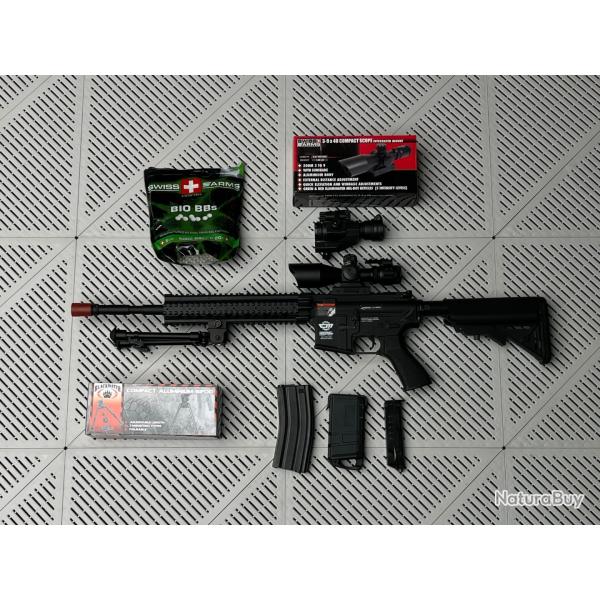 CM16 R8-L G&G TR�S BON �TAT