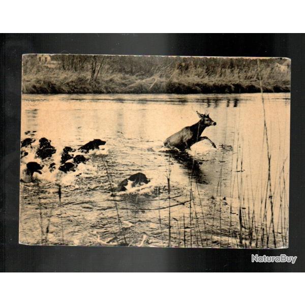 senlis la chasse � courre dans le valois,  chasse � courre, �quipage, v�nerie , cerfs , chiens