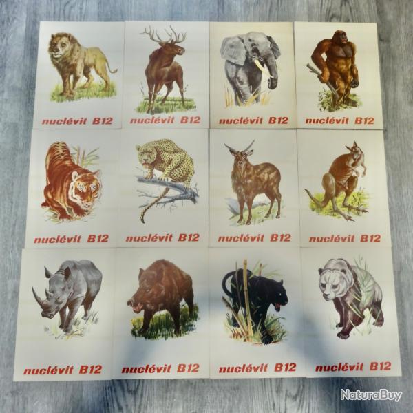 PUB PHARMACIE ANIMAUX N1