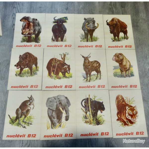 PUB PHARMACIE ANIMAUX N 2