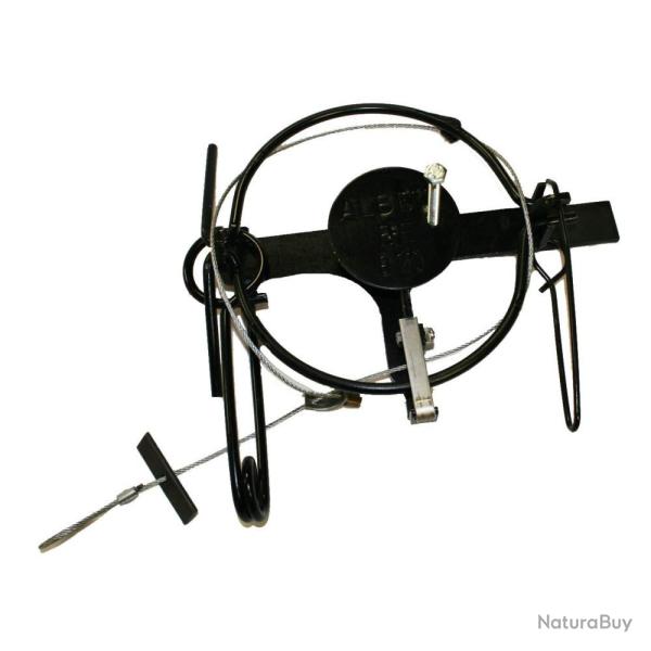 Pige  lacet pour renard Albert