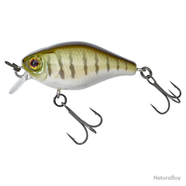 Chubby 3.8Cm : Vairon