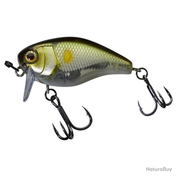 Chubby 41 Ssr Sg Ayu